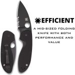 SPYDERCO C216GPSBBK EFFICIENT G10 PLN/SERR BLACK BLADE
