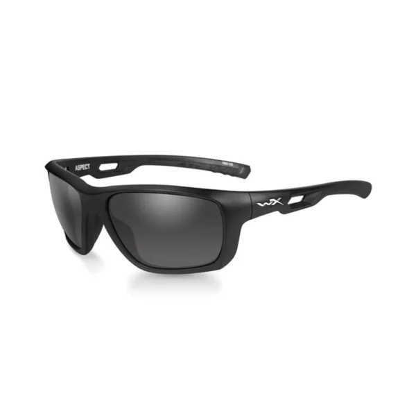 WX ASPECT SMOKE GREY MATTE BLACK FRAME
