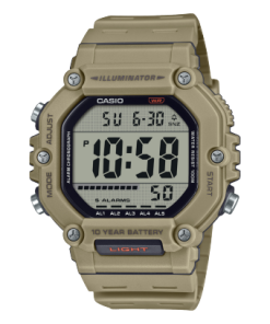 Casio Standard  Collection Mens 100m - AE-1600H-5AVDF