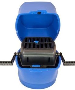 BERRY'S MEDIA CORN 6lb BOX